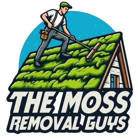 Moss Removal Shinfield